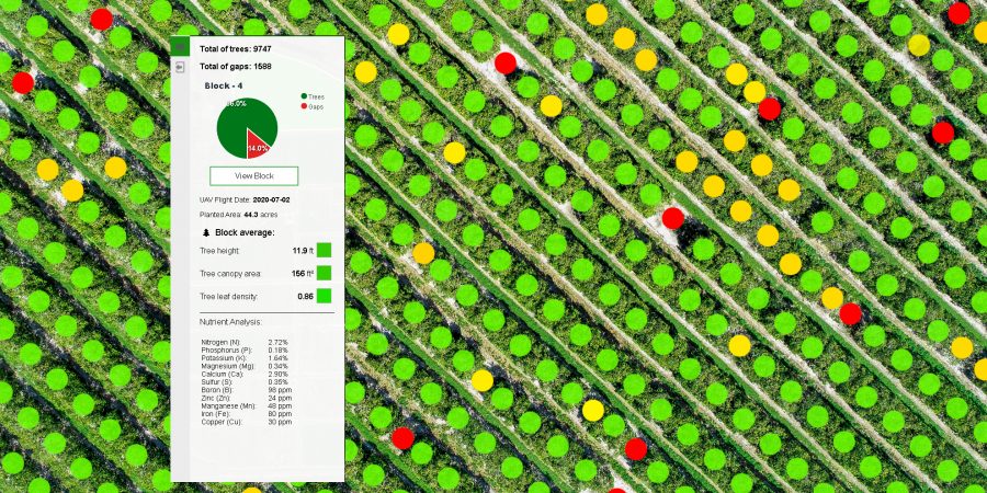 This image shows AI analysis with Agroview of citrus counts and nutrient analysis.